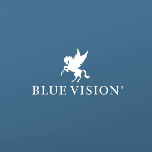 Blue Vision / Corporate ID & Design