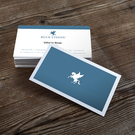 Blue Vision / Corporate ID & Design