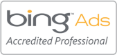 Bing ads professional